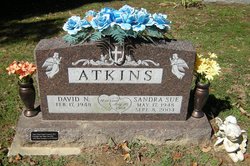 David N. Atkins 