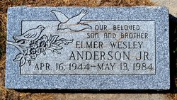 Elmer Wesley Anderson Jr.