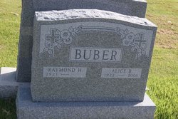 Alice B Buber 