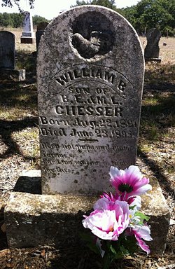 William B Chesser 