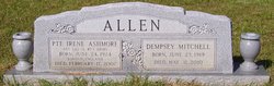 Irene <I>Ashmore</I> Allen 
