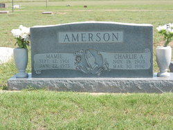 Mamie <I>Williams</I> Amerson 