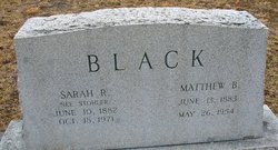Matthew B Black 