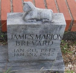 James Marion Brevard 