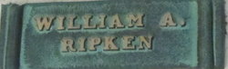 William Ripken 