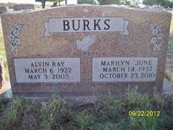 Alvin Ray Burks 