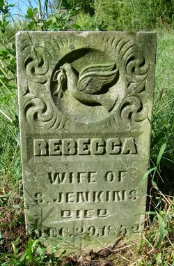 Rebecca <I>Watson</I> Jenkins 