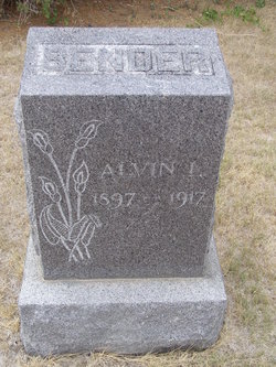 Alvin L Bender 