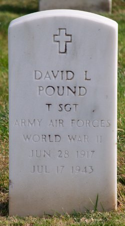 David L Pound 