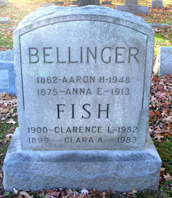 Aaron Henry Bellinger 