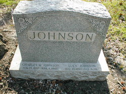 Charles Martin Johnson 
