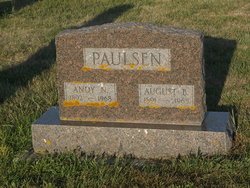 Andy N. Paulsen 