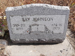 Ray Johnson 