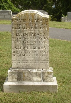 Horatio M Adams 