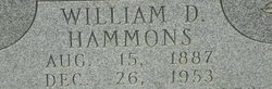 William David Hammons 