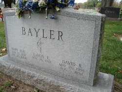 David B Bayler 