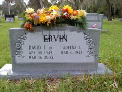 David E Ervin Sr.