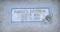 Harold Junior Ellison 