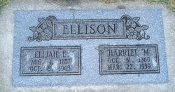 Harriet Ellen <I>Morgan</I> Ellison 