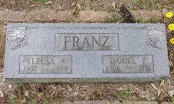 Daniel E Franz 