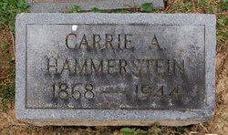 Carrie A <I>Andre</I> Hammerstein 