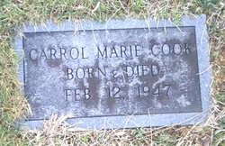 Carrol Marie Cook 