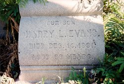 Harry L. Evans 