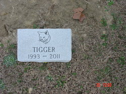 Tigger “Dirty Faced Cat” Cat 
