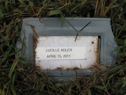 Lucille <I>Imber</I> Adler 