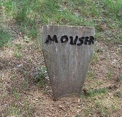 Mouser 