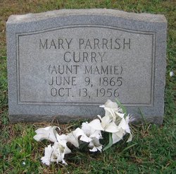 Mary Ann “Aunt Mamie” <I>Parrish</I> Curry 