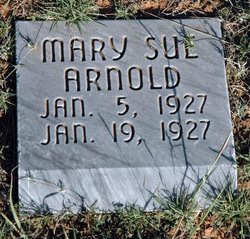 Mary Sue Arnold 