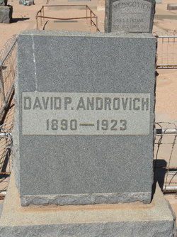 David P. Androvich 
