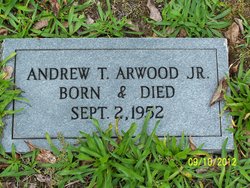 Andrew T. Arwood Jr.