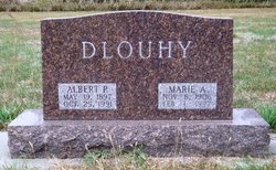 Albert P Dlouhy 