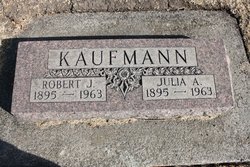 Robert J Kaufmann 