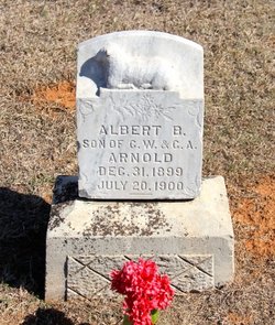 Albert B. Arnold 