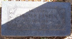 Chester Henley <I>DeWees</I> Ashbrook 