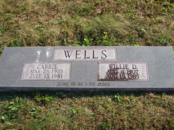 William David Wells 