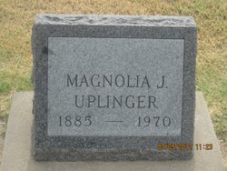 Magnolia <I>Jaqua</I> Uplinger 