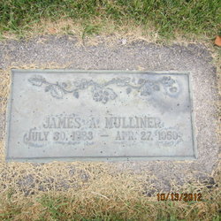 James Andrew Mulliner 