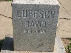 David Lupescu 
