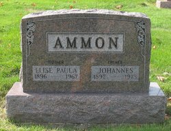Johannes H Ammon 