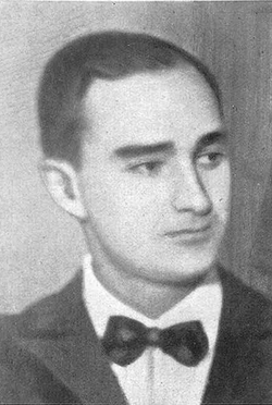 Luis Fernando Díaz de Mendoza Guerrero 