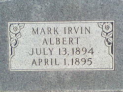 Mark Irvin Albert 