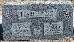 Arthur Edwin Hartzog 