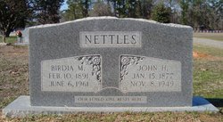 John Howard Nettles 