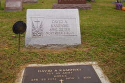 David A Kaminski 