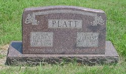James Ernest Platt 