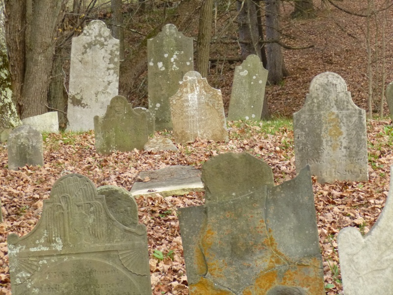 Old Hartwick and Robinson Cemetery